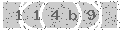 verify code