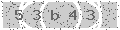 verify code